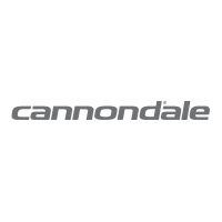 Cannondale