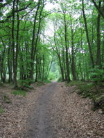 direction Corbreuse